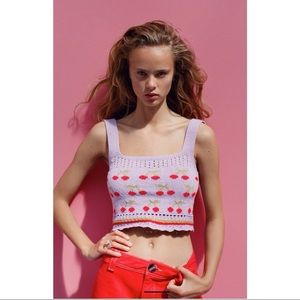 Zara Knit Strawberry Top